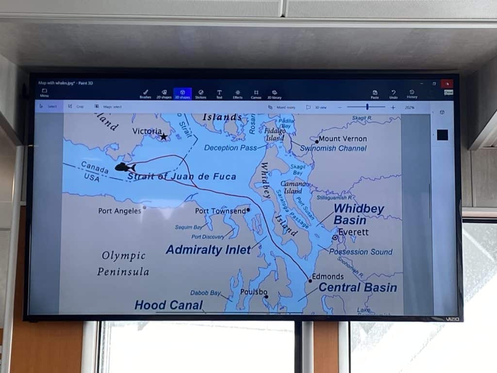 whale watching trip route